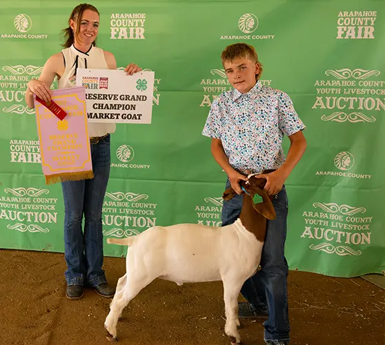 Reserve Grand Champion Market Goat Arapahoe County Youth Livestock