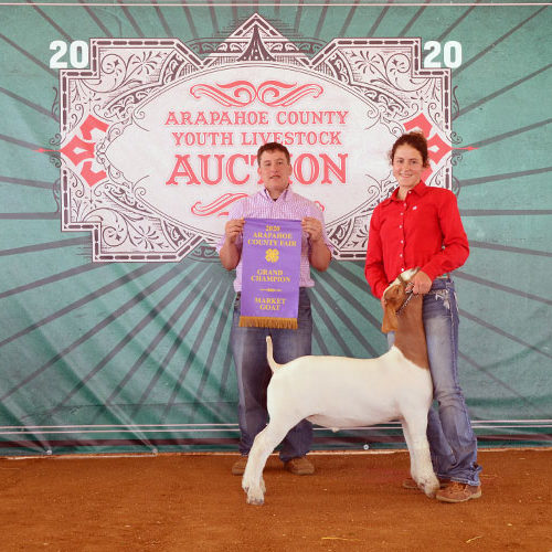 2020 Arapahoe County Grand Champion Market Goat