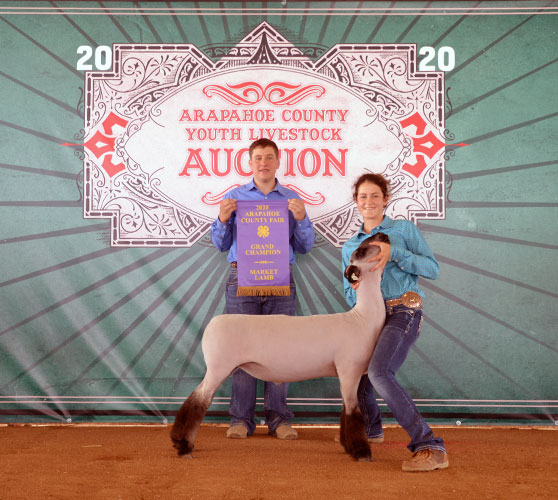 2020 Arapahoe County Grand Champion Market Lamb