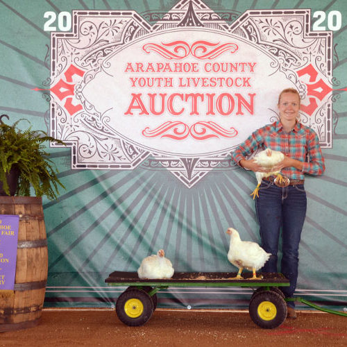 2020 Arapahoe County Grand Champion Market Poultry