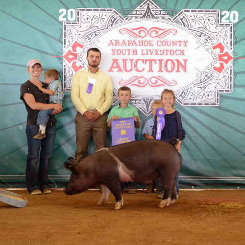 2020 Arapahoe County Grand Champion Market Swine
