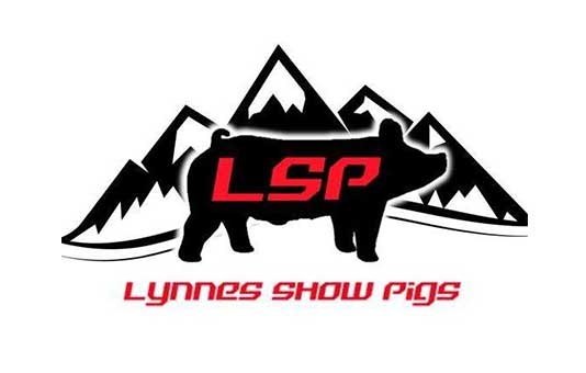 Lynnes-Show-Pigs