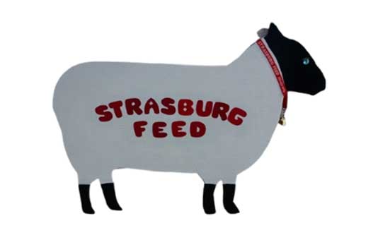 Strasburg-Feed-Store