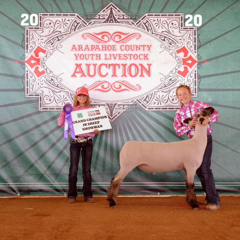 How to Buy a 4H Animal at Auction