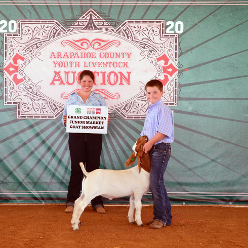 Buying a 4H Animal at Auction