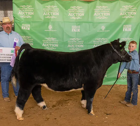 Reserve Grand Champion Market Beef at the 2022 Arapahoe County Fair